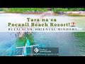 Tara na sa Pocanil Beach Resort! 🌊🌠| Bulalacao, Oriental Mindoro