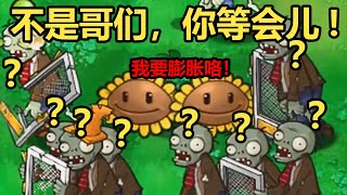 我以为是向日葵，结果你给我来了个大的 | 杂交版植物大战僵尸 | Sunflower, but surprise move | Plants vs. Zombies: Hybrid Edition