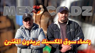 عودة الى سوق القليعة \