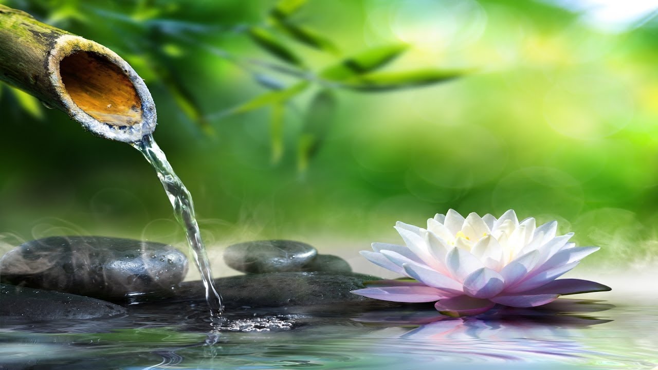 Relaxing Music With Soothing Water Sound Youtube Music