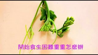 周兆祥：開始食生困難重重怎麼辦  ----- 祥哥講食生 142