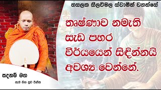 තෘෂ්ණාව නමැති සැඩ පහර වීර්යයෙන් සිදින්නයි අවශ්‍ය වෙන්නේ.1051Ven Hasalaka Seelawimala Thero