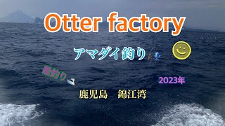 【釣り編】鹿児島錦江湾の甘鯛釣り🎣2023年1月。今年の初釣り、釣果は如何に？美味しい甘鯛をGETしたいのです。