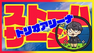 フォートナイトライブ　カスタムマッチ　トリオアリーナ　ストームサージ　参加型　人数少なくてもいきます！　暇だから配信しよ！