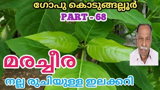 മരച്ചീര നല്ല കിടിലൻ ഇലക്കറി| MARA CHEERA |SOUHRIDA CHEERA | GOPU KODUNGALLUR | A2Z MALAYALAM CHANNEL