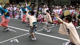 Tokyo Koenji Awaodori 2011-8-29  東京高円寺阿波踊り