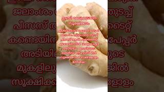 അടുക്കള രഹസ്യം #shorts #youtubeshorts #cookingtips