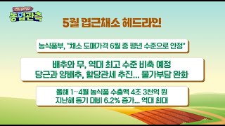 영농길라잡이- 2024년5월호 엽근채소관측