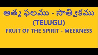 ఆత్మ ఫలము - సాత్వికము (TELUGU)