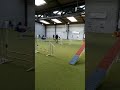 20171119 ronchin cedric hanjy agility standard