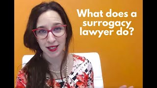 What do surrogacy lawyers do?