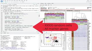 How to Create a Single-Cell Next-Generation Clustered Heat Map in R