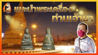 แนะนำพระเครื่อง ท่านเจ้ามา | เมฆ สาธุ พระเครื่อง