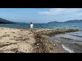 【4k】walking in kyoto amanohashidate pine forest beach