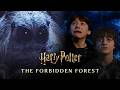 'Can we panic now?' | Best Forbidden Forest Moments