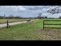 1980 oldsmobile delta 88 driveby.