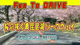 桜咲く！奥琵琶湖パークウェイのドライブ映像