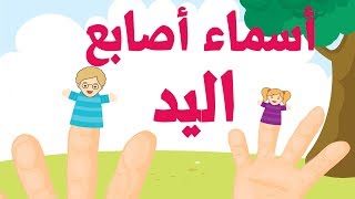 أغنية تعليم اللغة العربية للأطفال أسماء الأصابع - Famille des doigts arabe - Arab finger family song