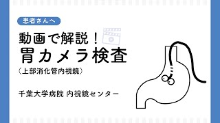 動画で解説！胃カメラ検査