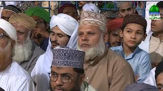 Wo Samajhtay Hain Bolian Sab Ki (Short Clip) Maulana Abdul Habib Attari