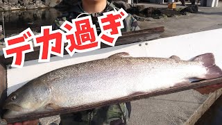 【エリアトラウト】管理釣り場の怪物を釣って食う！幻のイトウを降臨させたルアーはコレ！in川場フィッシングプラザ