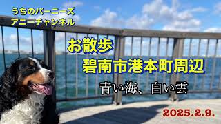 お散歩 碧南市港本町周辺 青い海、白い雲　2025.2.9.