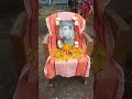 ১২৮ তম জন্মদিনে শতকোটি প্রণাম তোমাকে।🙏🙏