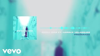 Onell Diaz - Preparado (Visualizer) ft. Harold Velazquez