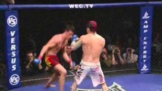 WEC 53 Highlights