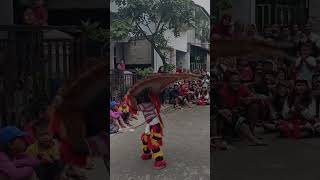 Reog Ponorogo cilik ban wan #reog #reogponorogo #savereogponorogo #ganongan