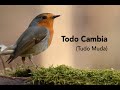 Todo Cambia (Tudo Muda) Mercedes Sosa - Tradução PT-BR