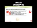 ampicillin contraindications ampicillin contraindications pharmacology sideeffects