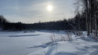 Kicksledding North Pole’s 4km Nature Trail