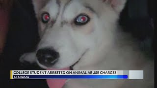 Auburn Woman arrested for allegedly killing puppy