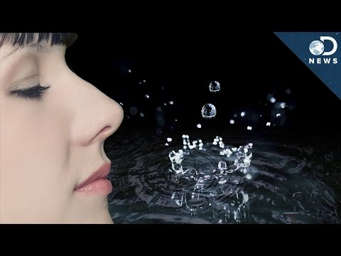 Why does night air smell so good?
