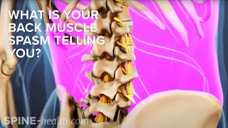 What Is Your Back Muscle Spasm Telling You?