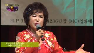 2015한국종합연예인단김영이리사나저리사나