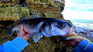 Je pêche un BAR RECORD sur ce SPOT INCROYABLE ! (Pêche du bar en bord de mer)