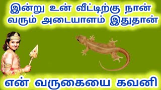 இன்று உன் வீட்டிற்கு நான் வரும் அடையாளம் இதுதான் என் வருகையை கவனி #சாய்பாபா #சாய்மகிமை #சாய்குரல்