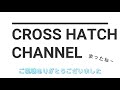 【ランクル80】ロックスライダー製作しました！　ツナギ男　クロスハッチ　ランドクルーザー　ハチマル