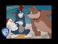 Tom y Jerry en Español | Dibujos Animados Clásicos Compilación Tom, Jerry y Spike | WB Kids