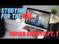 Human Growth and Development, Part 1 - National Counselor Exam (NCE) study / prep