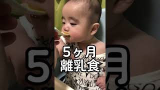 5ヶ月離乳食始まったよ