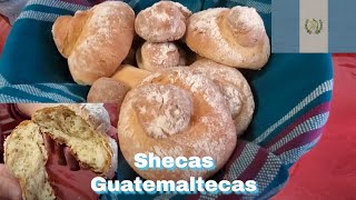 🇬🇹 Shecas o semitas Guatemaltecas 🇬🇹