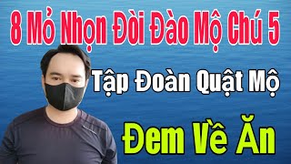 🟢 8 Mỏ Nhọn đòi ĐÀO MỘ CHÚ 5, Tập đoàn tranh nhau quật mộ đem về ăn