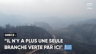 Des images aériennes ont capturé la dévastation laissée par les feux de forêt en Grèce