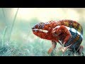 Chameleon - Studio Session