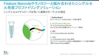 シングルセル免疫プロファイリングデータ解析