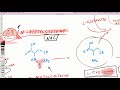 nac n acetylcysteine