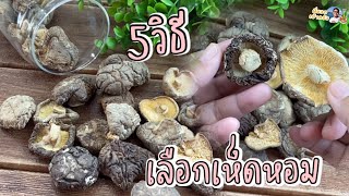 5 วิธี เลือกเห็ดหอมแห้ง 🍄 หอมนาน คุณภาพดี พร้อมวิธีเก็บให้อยู่นานข้ามปี